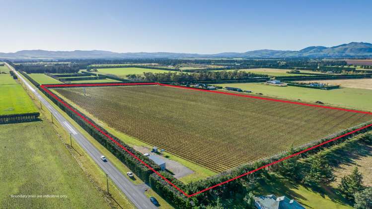 292 Mount Brown Road_0