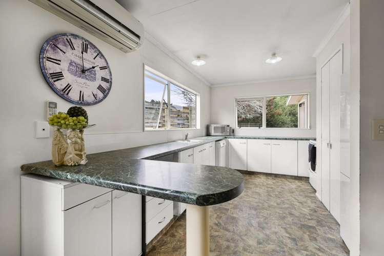 1007 Old Mountain Road Raglan_11