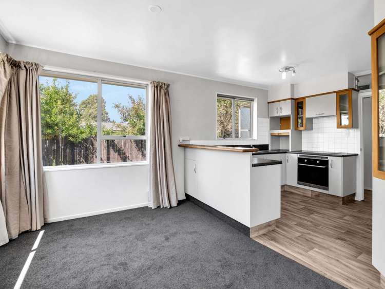 106 Grove Street Tinwald_9