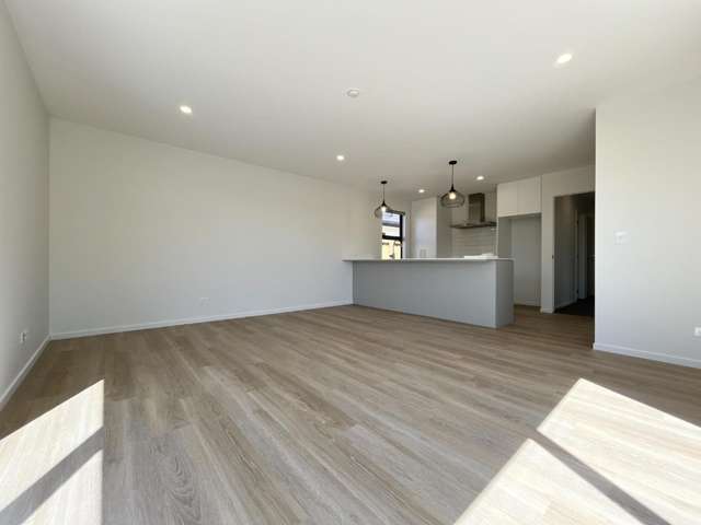 32 Mondo Drive 11103_3