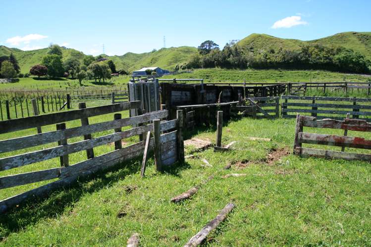 6753 Ohura Road Ruapehu-King Country Surrounds_8