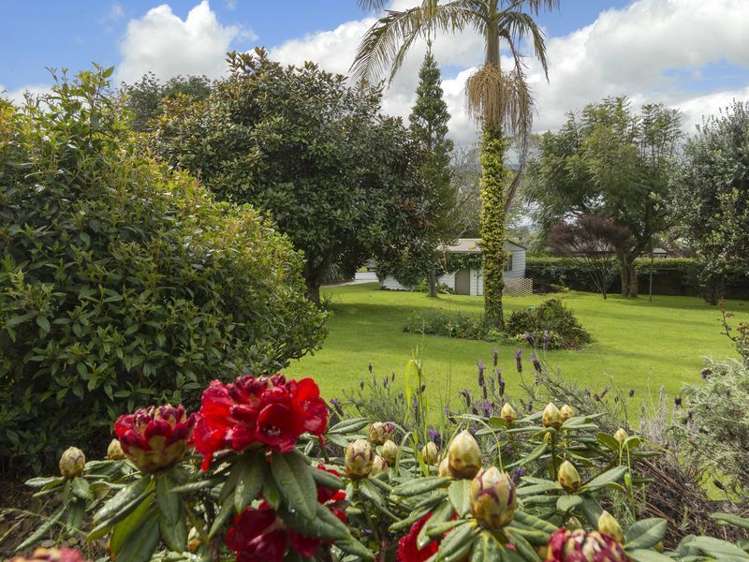 56 Robins Road Judea_12