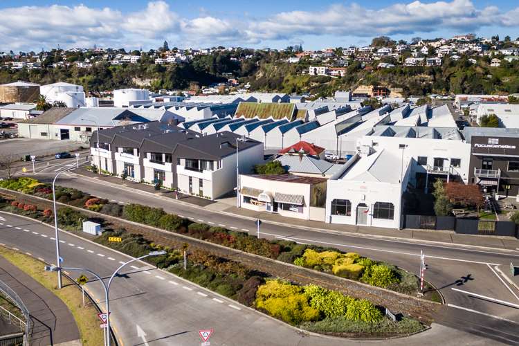 48 Bridge Street Ahuriri_5