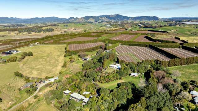 8a Thompson Road Opotiki_2