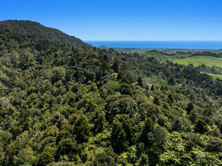 Gaskill Road Tirohanga_11