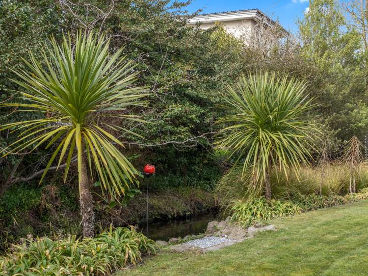 22b Strowan Road Strowan_32