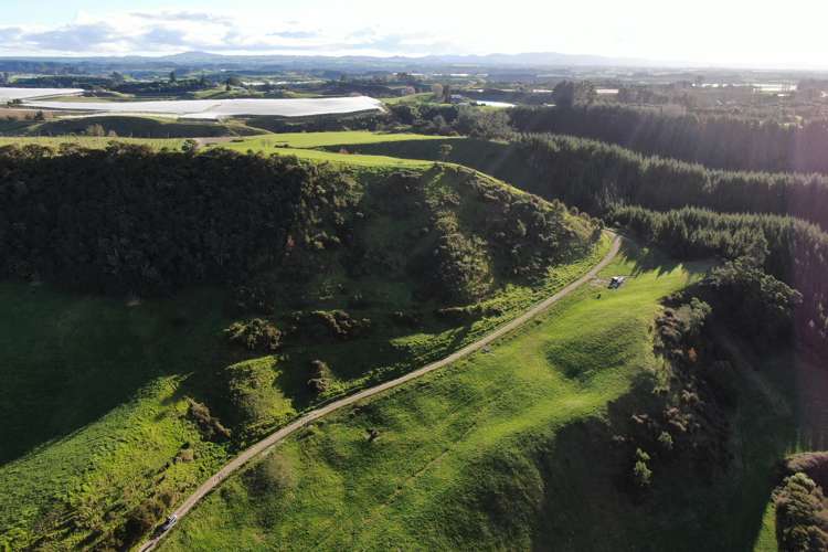 Maniatutu Road Pongakawa_23