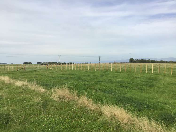 172 Stewart Road Feilding_6