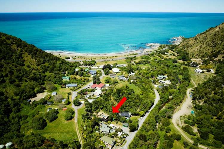 28 Goose Bay Kaikoura_6