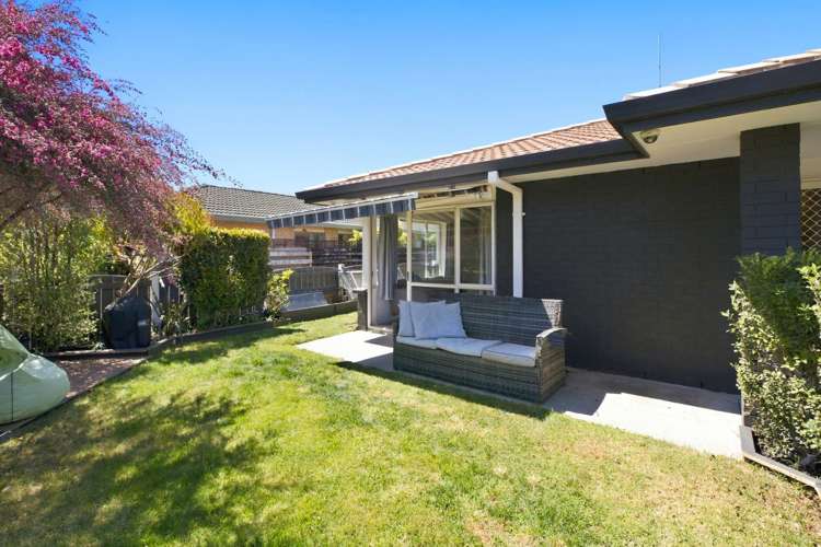 49A Lotus Avenue Mt Maunganui_5