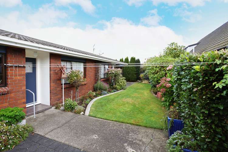 49b Racecourse Road Glengarry_6