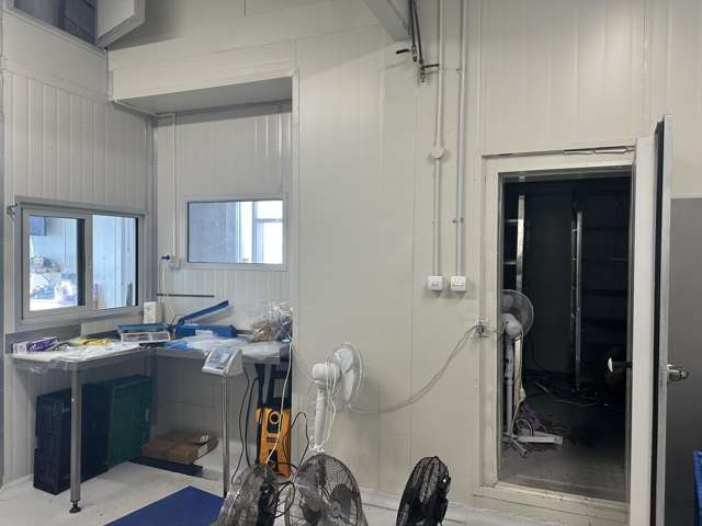 68 Kingsley Street Sydenham_4