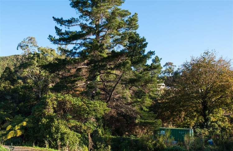 20 Russell Street Picton_24