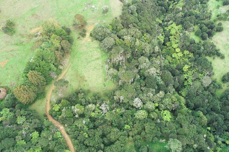 308 Kauri Road Onewhero_21