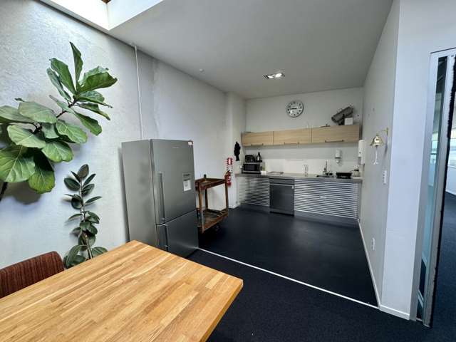 19 Pollen Street Grey Lynn_3