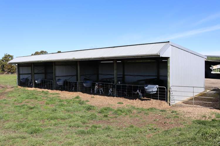 1430 Eltham Road Kaponga_14