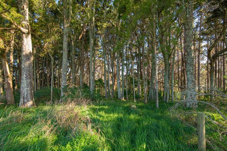 Lot 19 Anderson Road Helensville_7