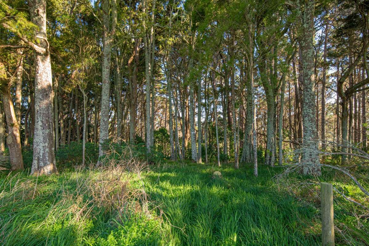 Lot 19 Anderson Road_3