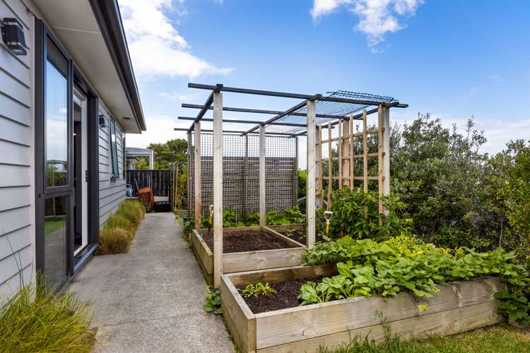 69 Harvest Avenue Orewa_24
