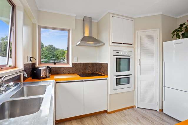 8 De Castro Street Paeroa_2