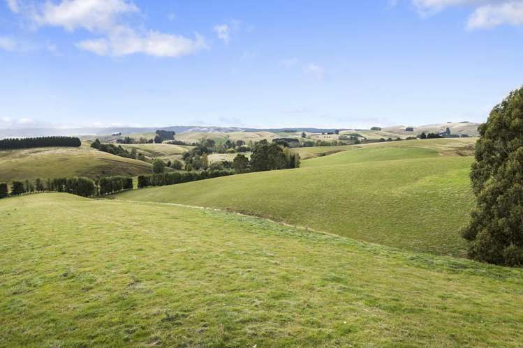 83 Waitahuna Cemetery Road Waitahuna_9