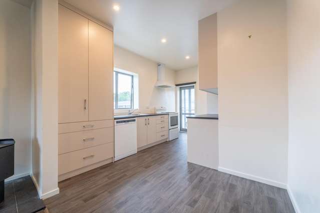 76 North Street Timaru Central_2