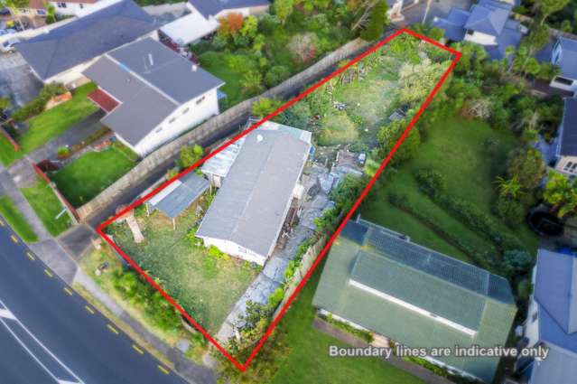 Renovate or Rebuild+ Seaview-Ignore CV
