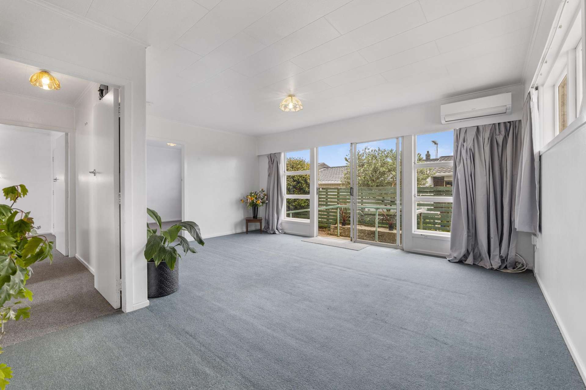 31B Ballance Street Lower Vogeltown_0