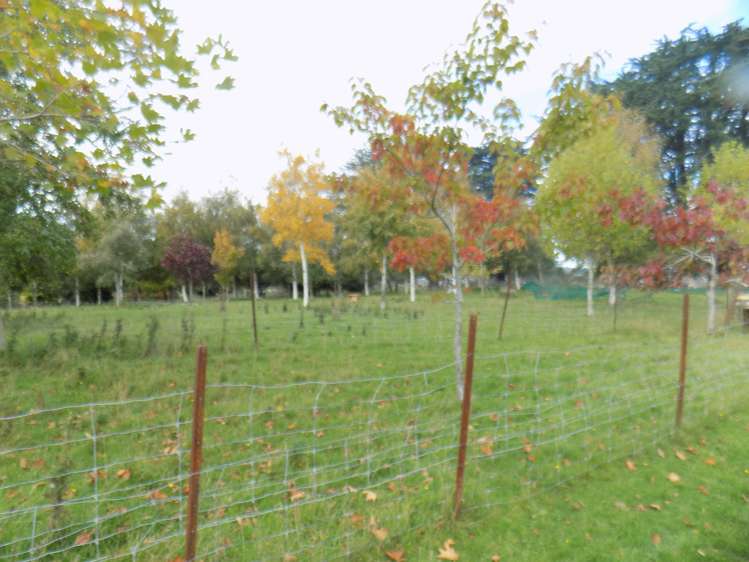 18 Osbourne Terrace Nightcaps_9