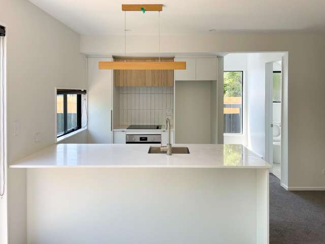 16 Kipax Place Riccarton_1