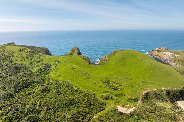 Cannibal Bay Rd Catlins Surrounds_9