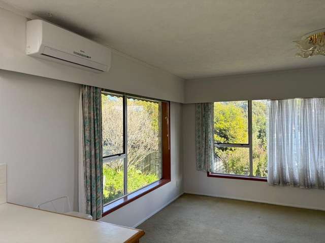 1/3 Tusac Place Totara Vale_3