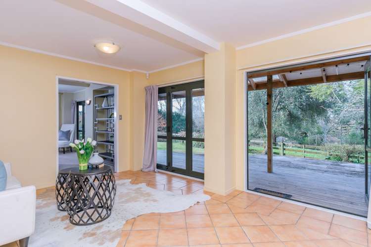 99 Postman Road Dairy Flat_19