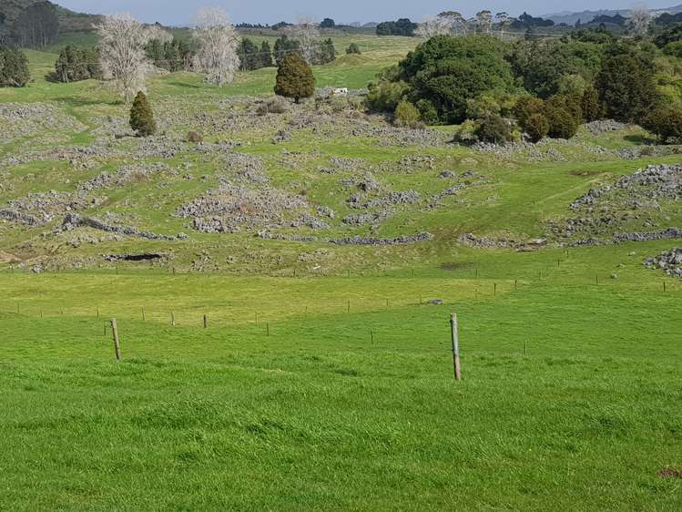 7045 State Highway 1 Pakaraka_14