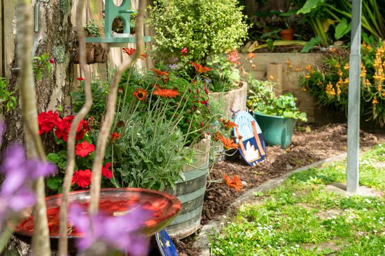 53 Severn Street Island Bay_8