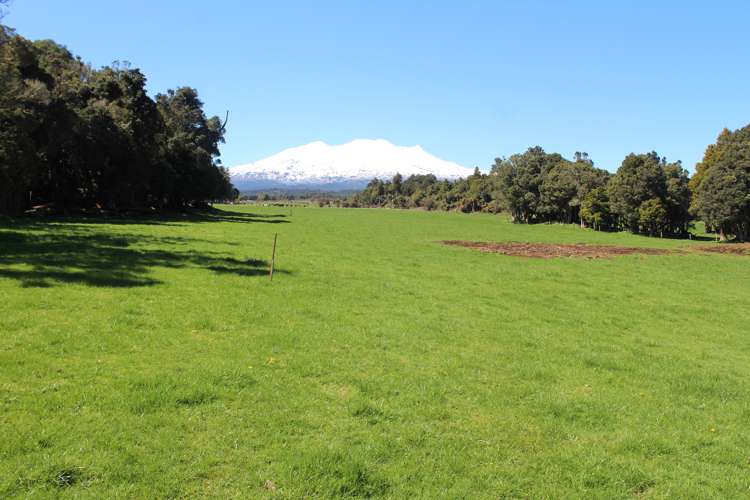 Lot 1/136 Matapuna Road Horopito_9