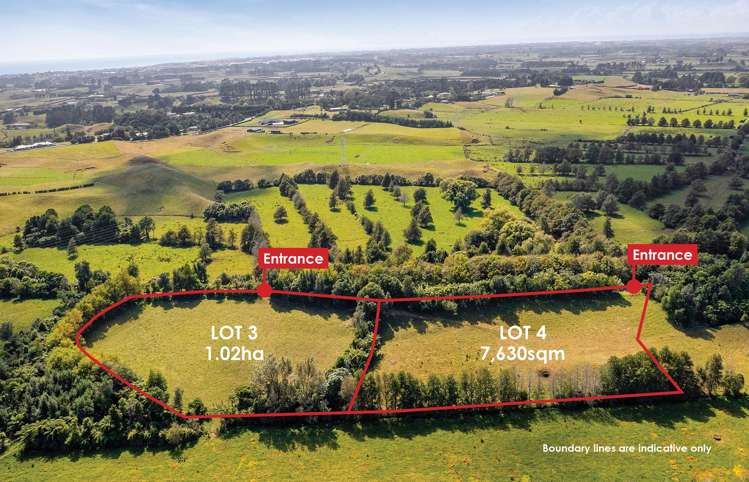 0n Umutekai Road Hillsborough_10