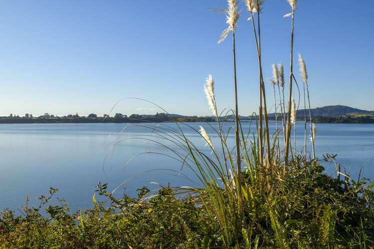 2 Eleventh Avenue Tauranga Central_10