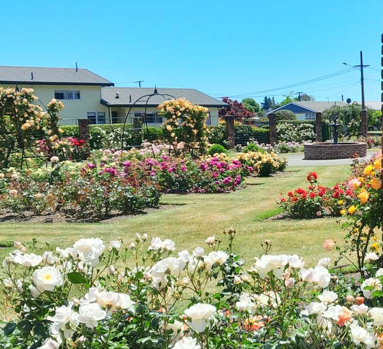 15 Langbein Street Stoke_2