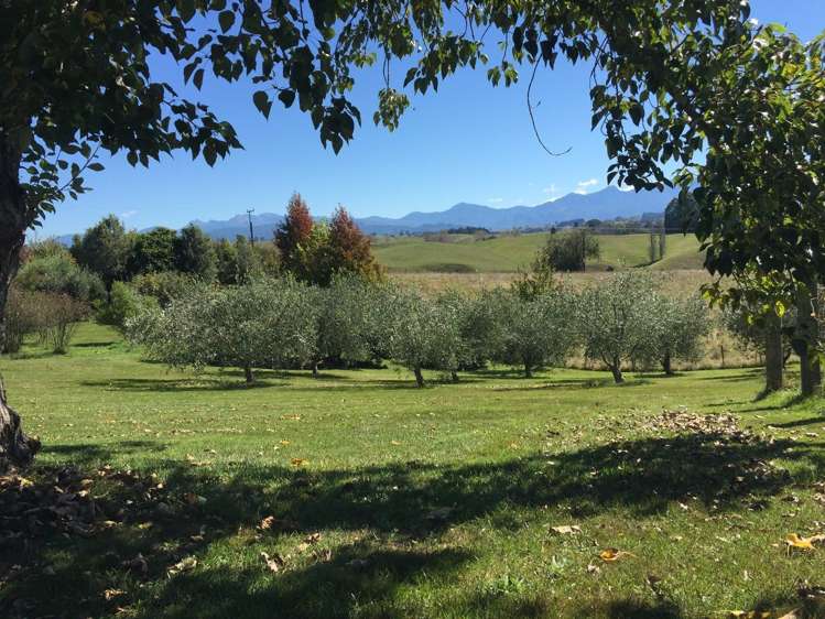 166 Kelling Road Upper Moutere_22