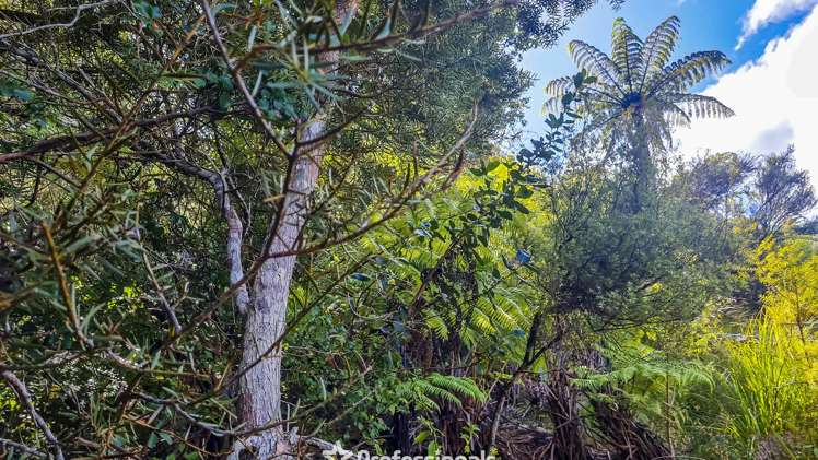 60 Riverstone Drive Riverstone Terraces_5