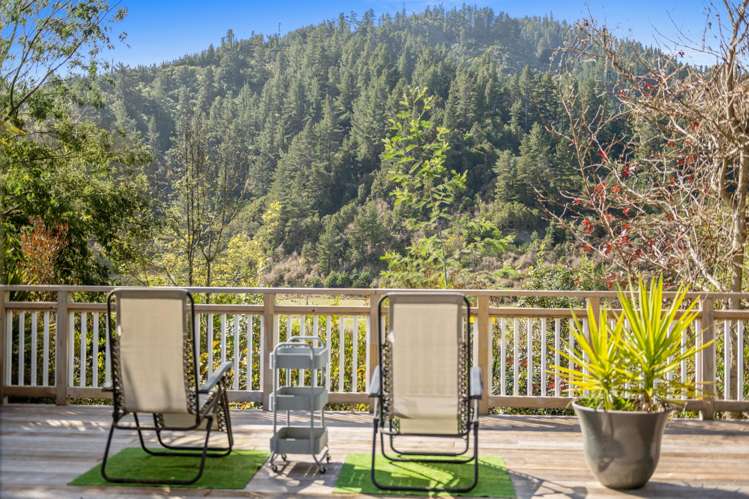 343 Onamalutu Road Wairau Valley_20