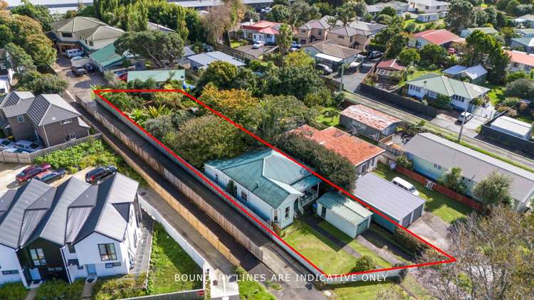 37 Mead Street Avondale_19