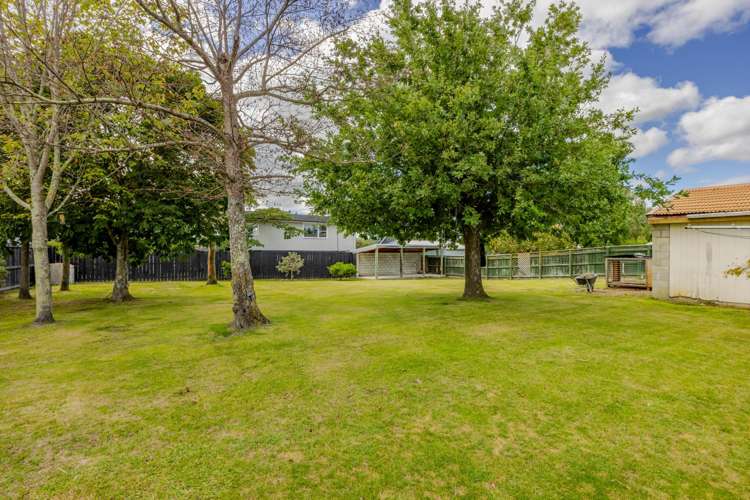 9 and 11 Willow Grove Waipukurau_19