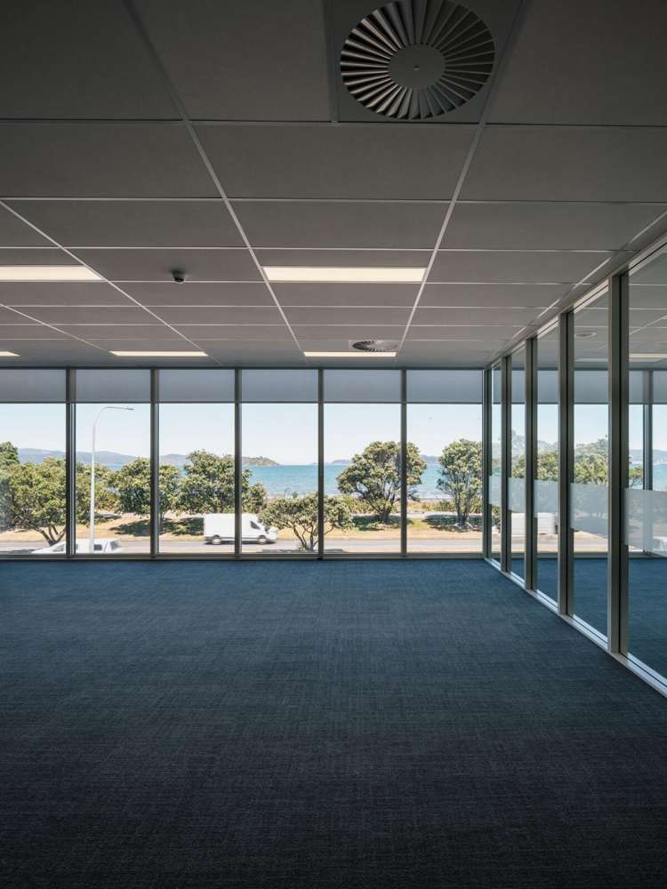 81 The Esplanade Petone_5