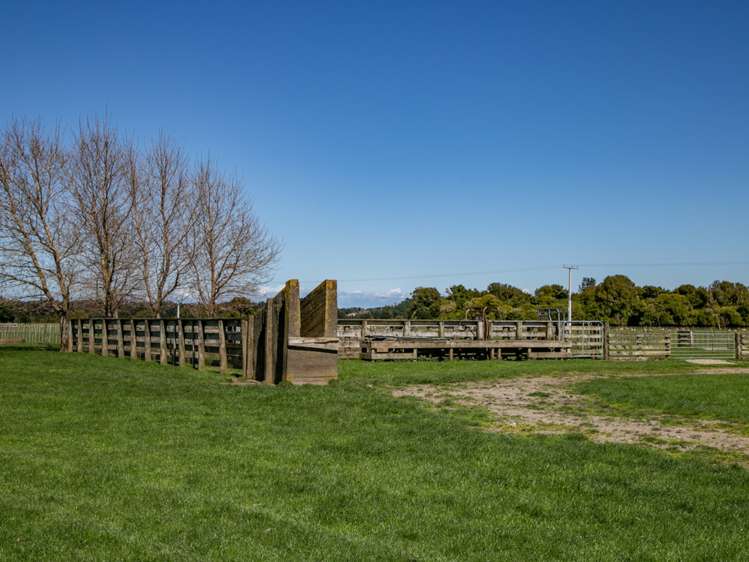 438 Omahina Road Waverley_8