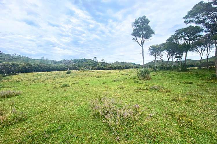 Lot 3/161 Wharariki Road Puponga_17