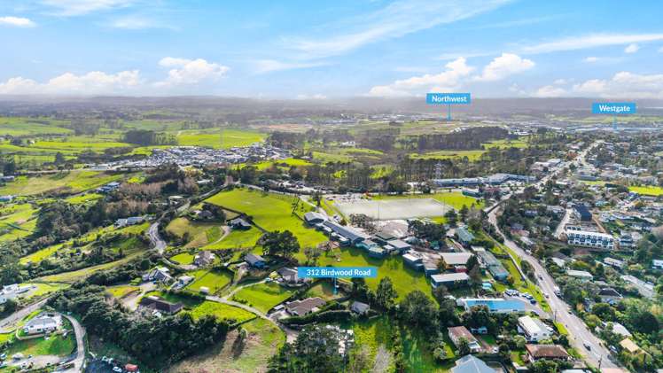 312 Birdwood Road Massey_36