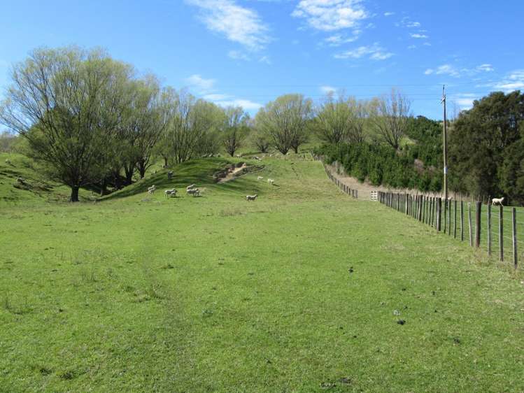 585 Mangakuri Road Elsthorpe_9