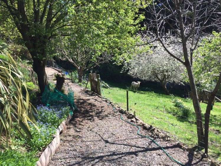 4987 Christchurch Akaroa Road Little River_15